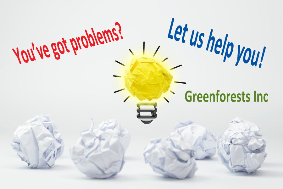 Greenforests provides solutions on system integration, website, SEO, infrastructure and management accounting 